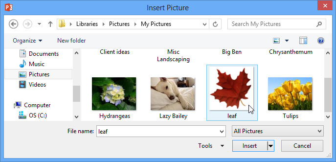 Screenshot of PowerPoint 2013