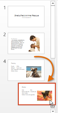 Screenshot of PowerPoint 2013