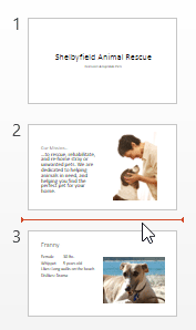 Screenshot of PowerPoint 2013