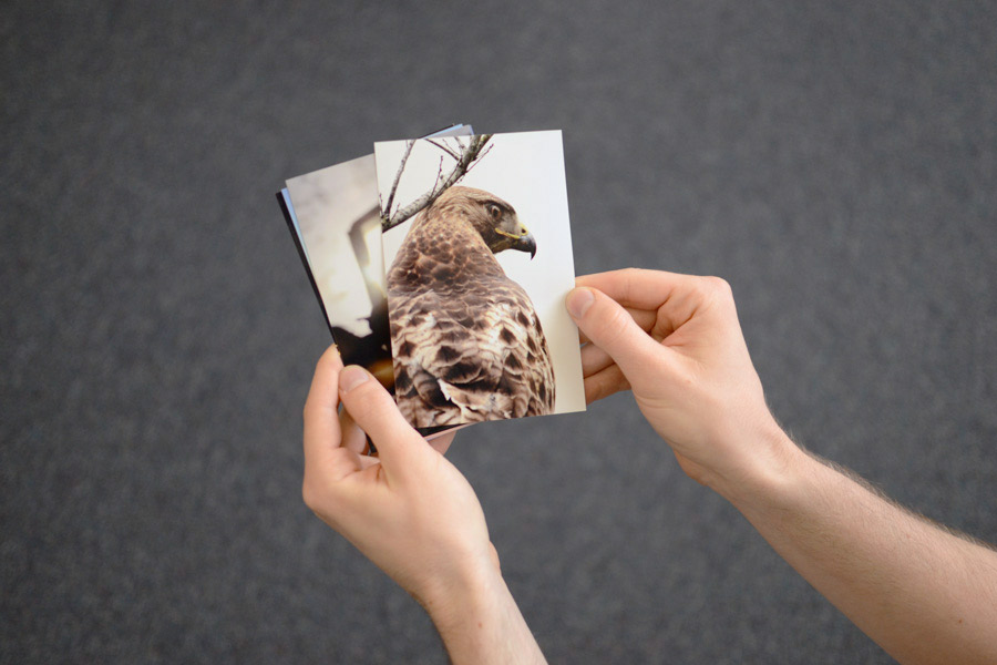 photo showing a group of 4x6 photo prints