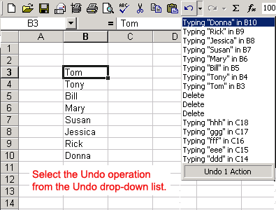 The Undo List Box