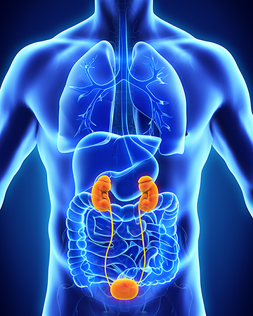 Kidney disease