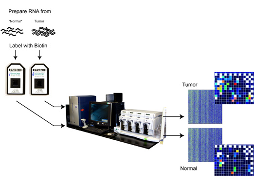 Microarray Technology