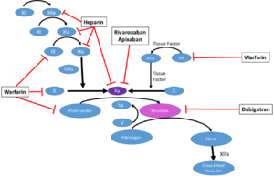 Anticoagulants.png