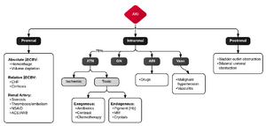 Differential Diagnosis of Acute Kidney Injury.png