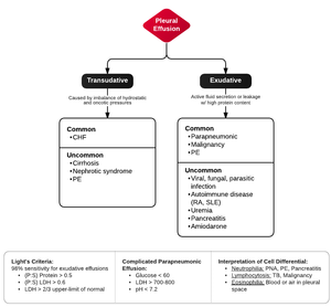 Pleural effusion.png