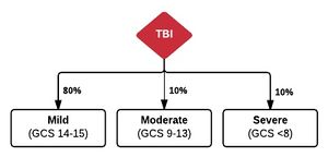 TBI GCS.jpg