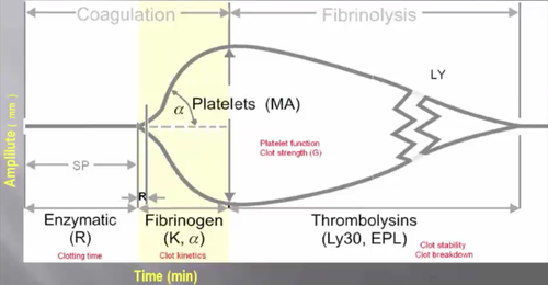 Normal thromboelastogram