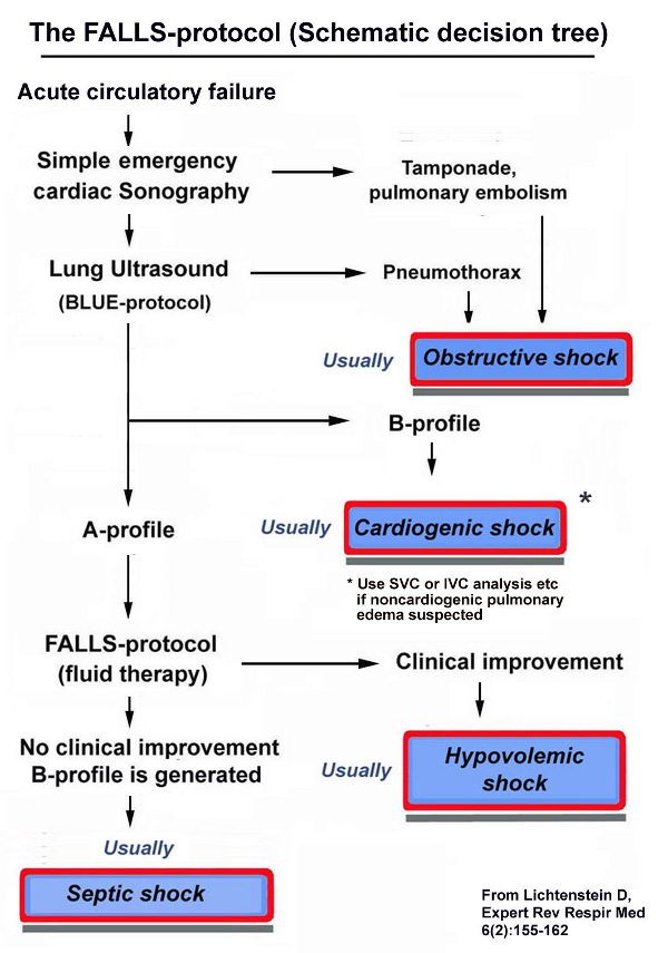 Falls protocol.jpg