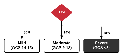 Severe tbi.png