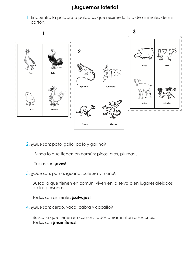 Lotería instrucciones.png