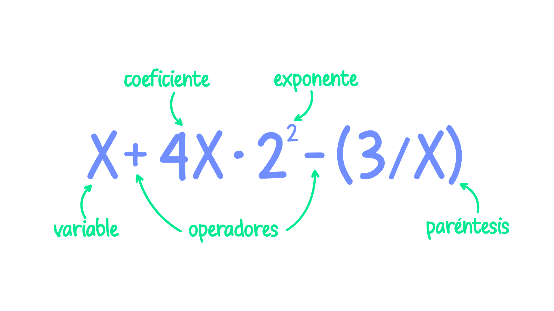 Partes de una expresión algebraica