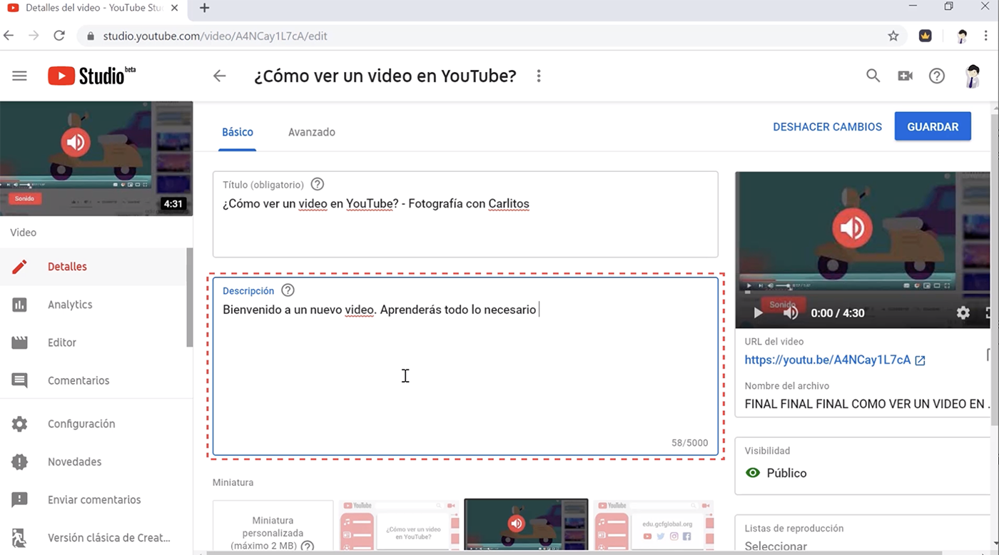 En la descripción puedes añadir un resumen general de tu video con palabras clave.