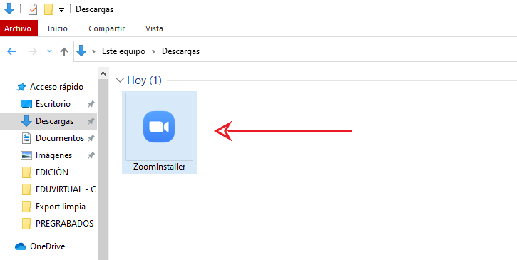 Archivo descargado Zoom