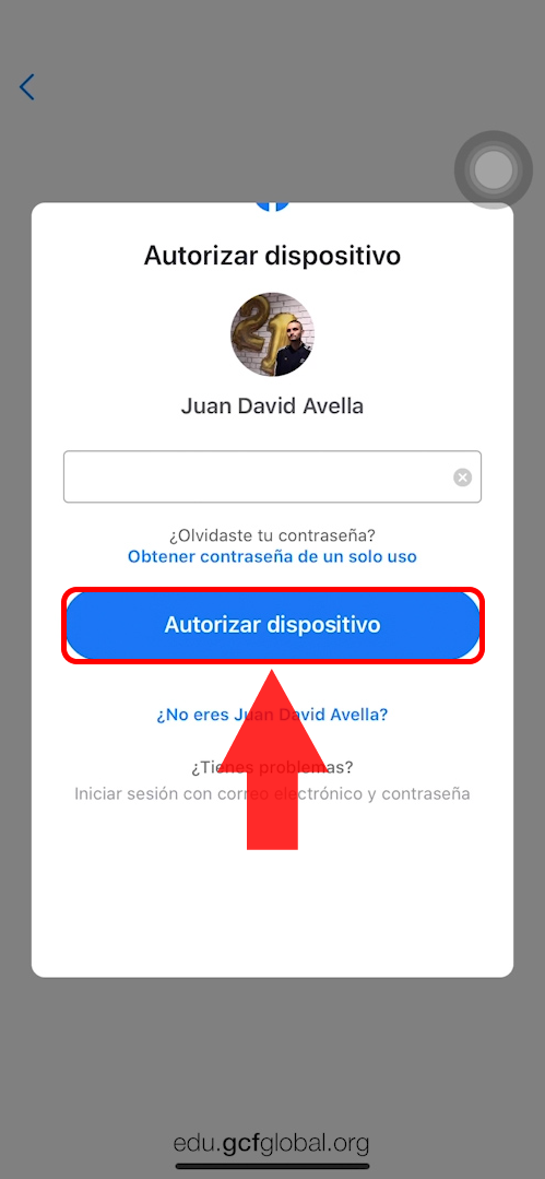Imagen haciendo clic en Autorizar dispositivo.