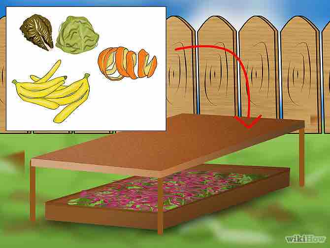 Imagen titulada Raise Earthworms Step 8