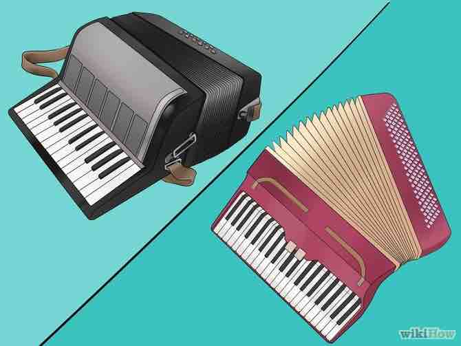 Imagen titulada Play the Accordion Step 3