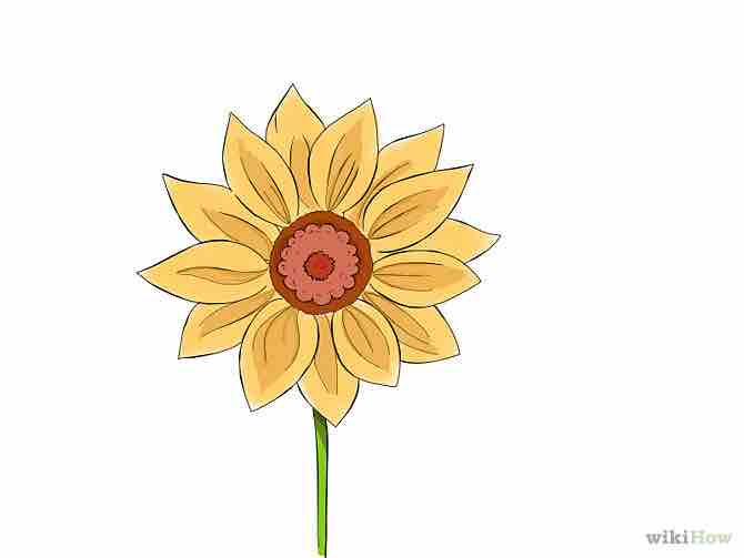 Imagen titulada Draw a Flower Step 9