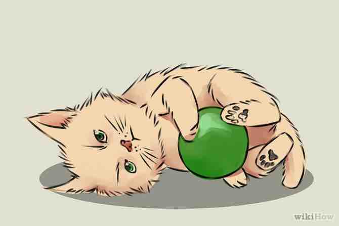 Imagen titulada Draw a Kitten Step 18