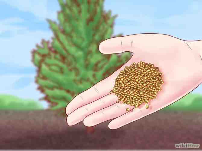 Imagen titulada Lower Soil pH Step 4