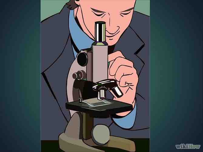 Imagen titulada Use a Microscope Step 4