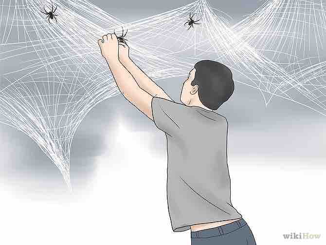 Imagen titulada Make a Spider Web Step 8