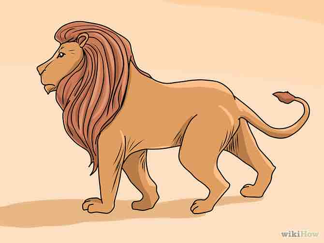 Imagen titulada Draw a Lion Step 8