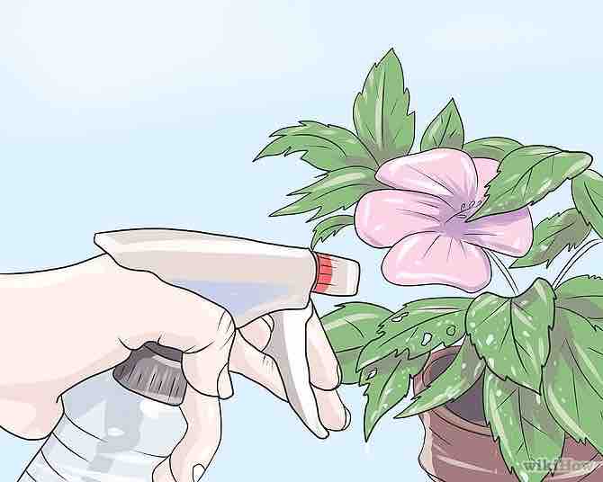 Imagen titulada Plant Hibiscus Step 9