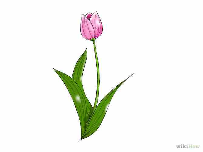 Imagen titulada Draw a Flower Step 16