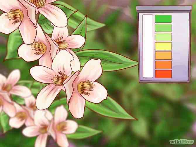 Imagen titulada Lower Soil pH Step 6