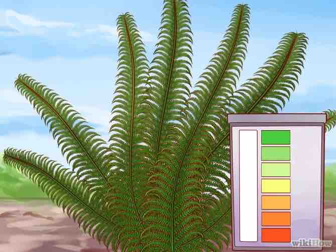 Imagen titulada Lower Soil pH Step 11