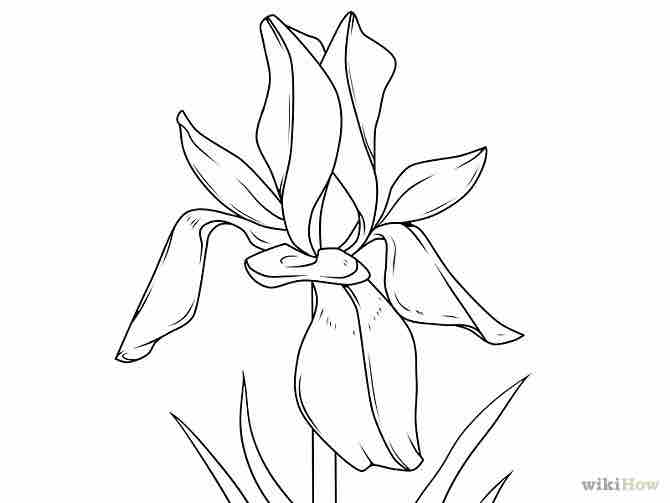 Imagen titulada Draw Flowers Step 36