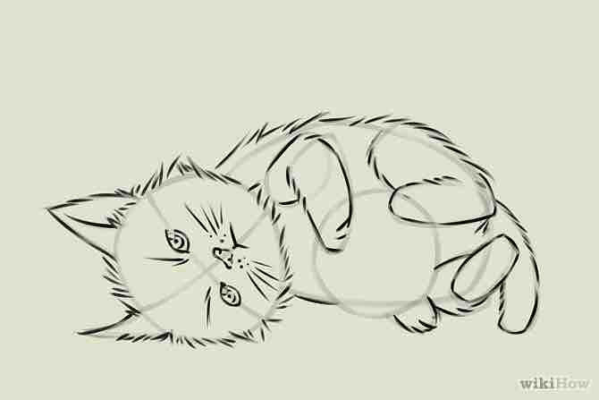 Imagen titulada Draw a Kitten Step 15