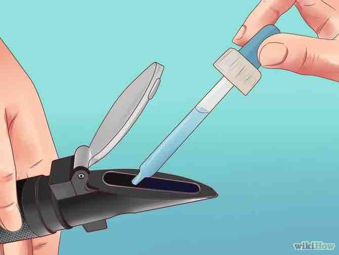 Imagen titulada Measure Salinity Step 4