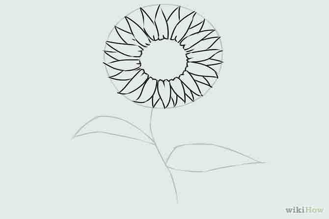 Imagen titulada Draw a Flower Step 15