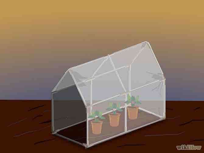 Imagen titulada Make a Mini Greenhouse Step 17