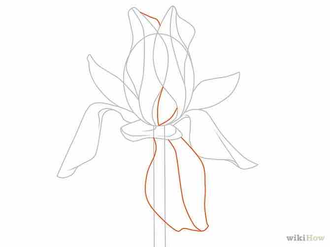 Imagen titulada Draw Flowers Step 35