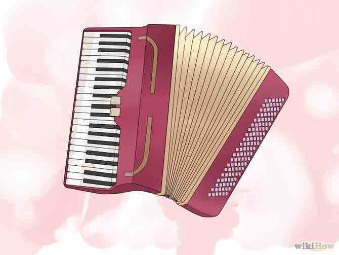 Imagen titulada Play the Accordion Step 1