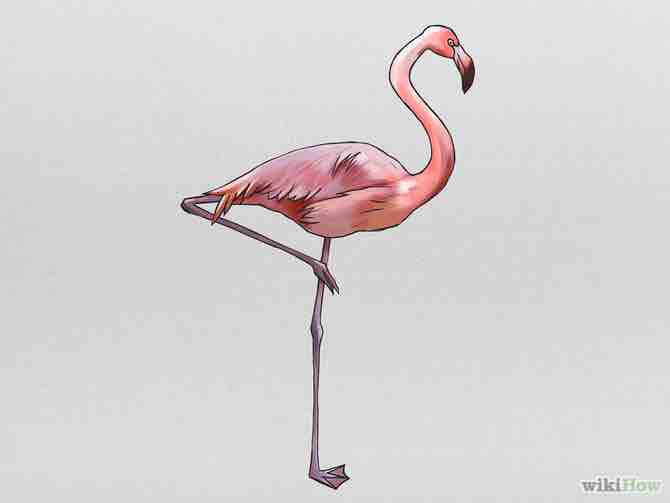 Imagen titulada Draw a Pink Flamingo Step 6