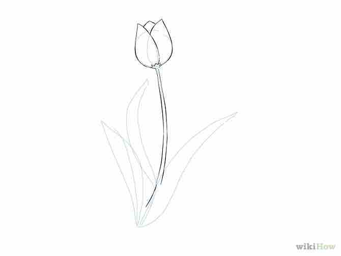 Imagen titulada Draw a Flower Step 13