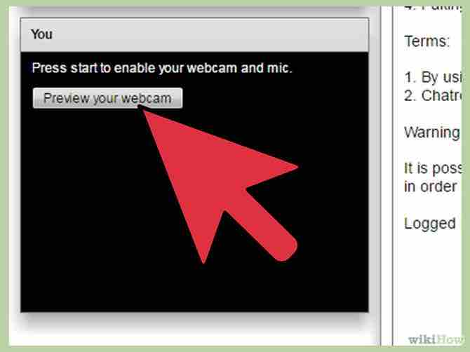 Imagen titulada Use Chatroulette Step 3