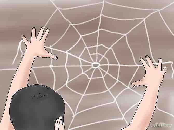 Imagen titulada Make a Spider Web Step 13