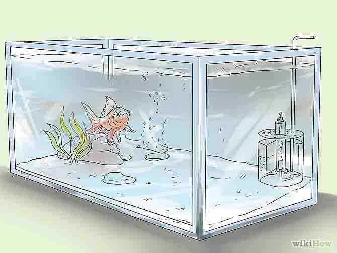 Imagen titulada Enjoy Having Pet Fish Step 1