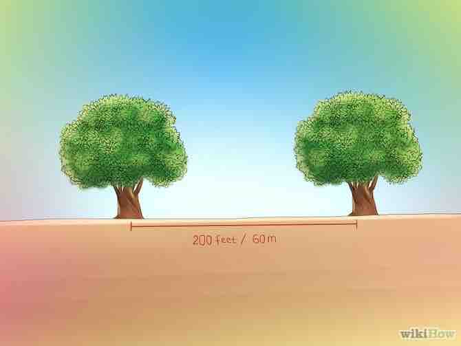 Imagen titulada Grow Chestnut Trees Step 4