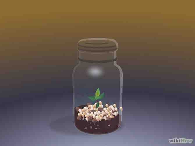 Imagen titulada Make a Mini Greenhouse Step 6