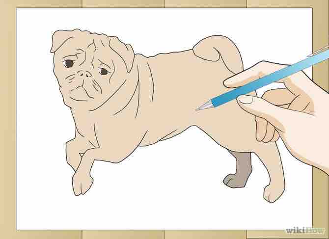 Imagen titulada Draw a Pug Dog Step 5