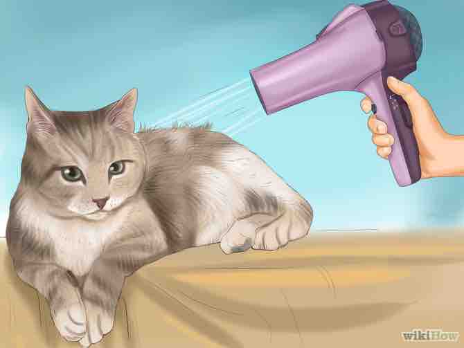 Imagen titulada Bathe a Cat Step 18