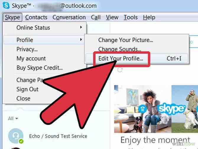 Imagen titulada Change Your Skype Profile Step 3