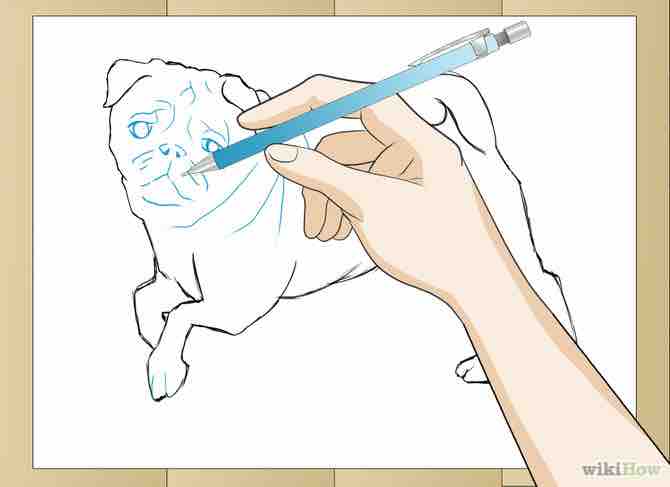 Imagen titulada Draw a Pug Dog Step 4