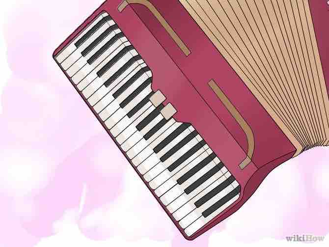 Imagen titulada Play the Accordion Step 17